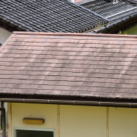 外壁のチョーキング現象を確認する様子