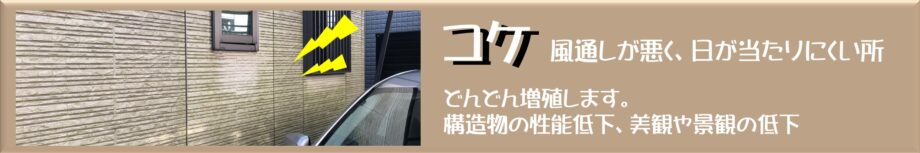 nagaitosou old file ja file 739 file 1